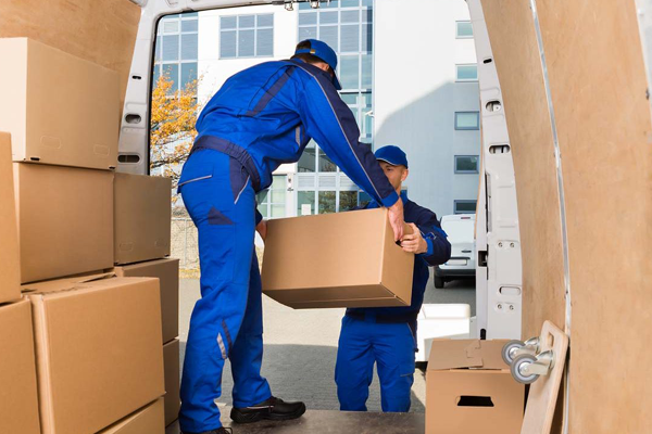 DHL Home Relocation Packers and Movers